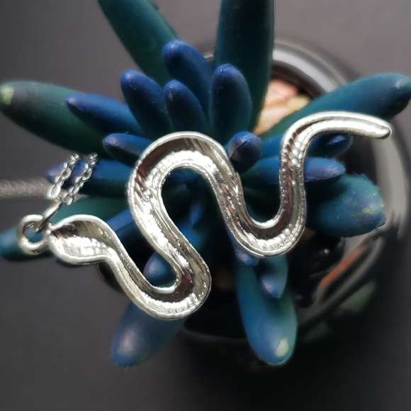 Snake 🐍 Pendant Necklace. Silver Chic Design. NWT - Picture 6 of 9